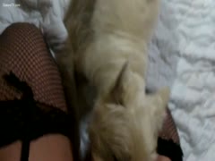 My dog licking four and me in crossdress DWT